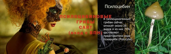 гашик Аркадак