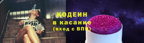 гашик Аркадак